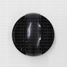 Perilla - WS01L14357 Perilla - WS01L14357